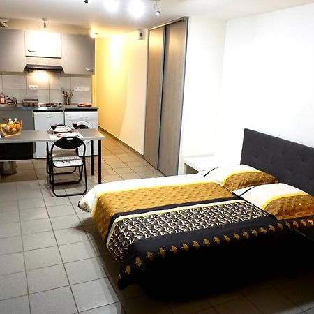 Charmant Studio Centre Ville Le Puy-en-Velay Bagian luar foto